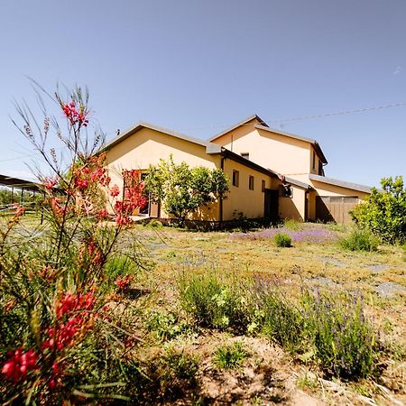 Agriturismo Bio Podere 109 - Wine&Food Alberese Exterior photo